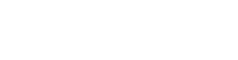Secure The Pack Dog Training